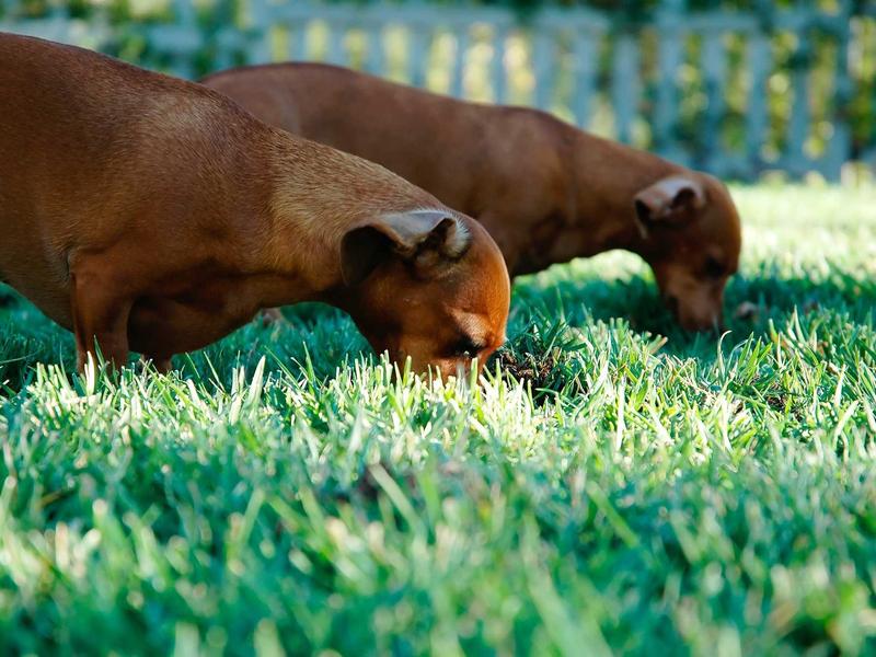 feedback screenshot 2